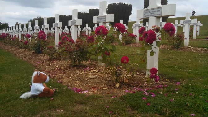 IMG_20160727_122320_189